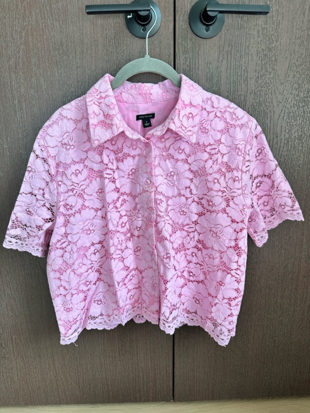 Ann Taylor Pink Lace Short-Sleeve Button Front Blouse